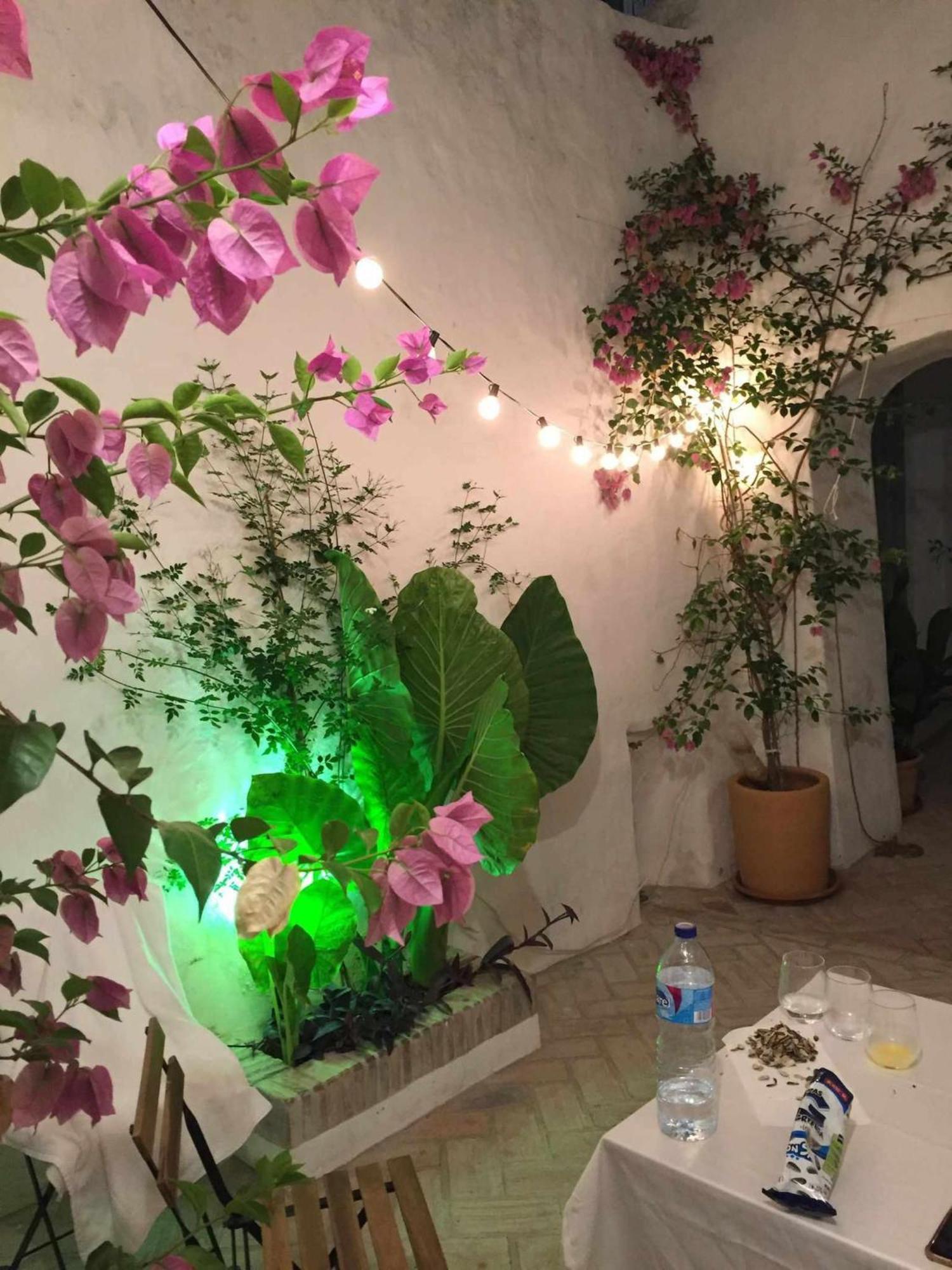 Villa Antiqua Centro De Vejer Con Wifi Grupo Ac Gestion Vejer de la Frontera Esterno foto